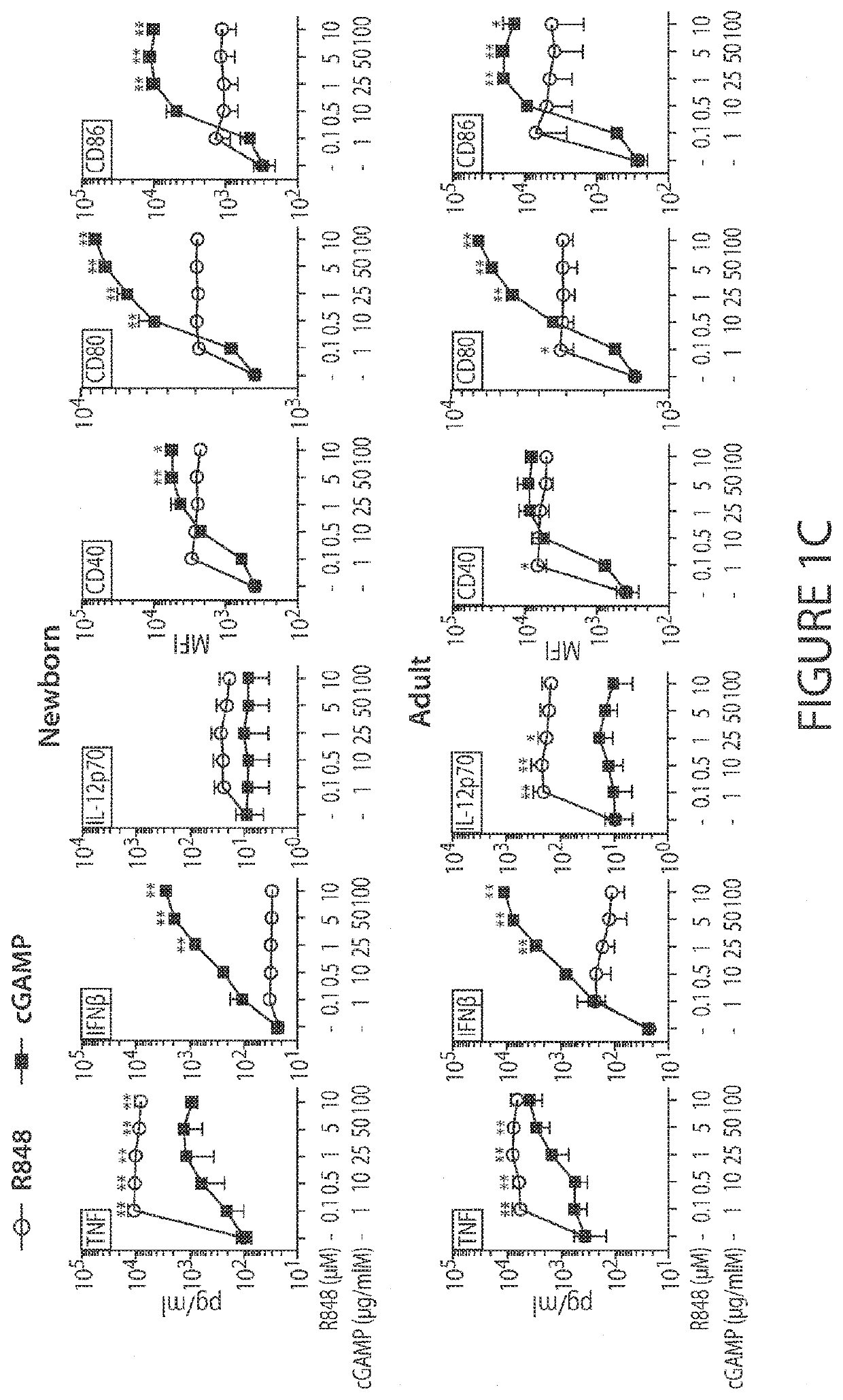 Stimulator of interferon genes (STING) ligands and uses thereof