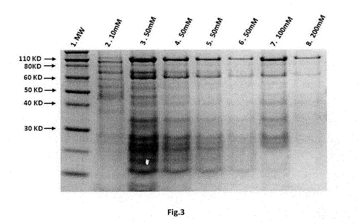 Composition for Oral or Nasal Delivery of Tetanus, Diphtheria, and Pertussis Vaccine alone or in combination using Neurotoxin Associated Proteins