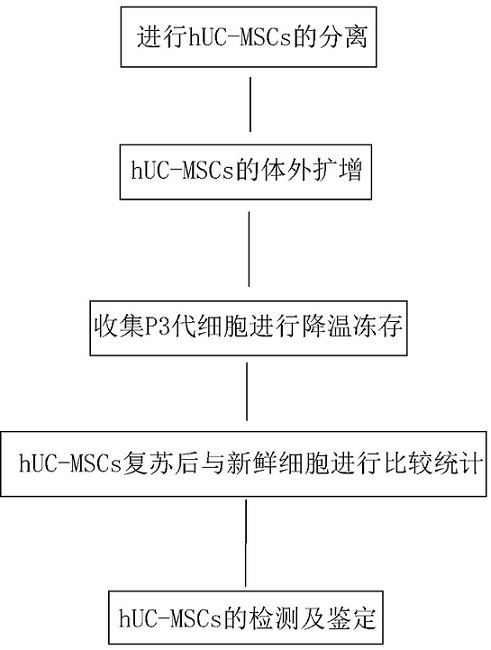 Mesenchymal stem cell cryopreservation liquid and activity research method thereof