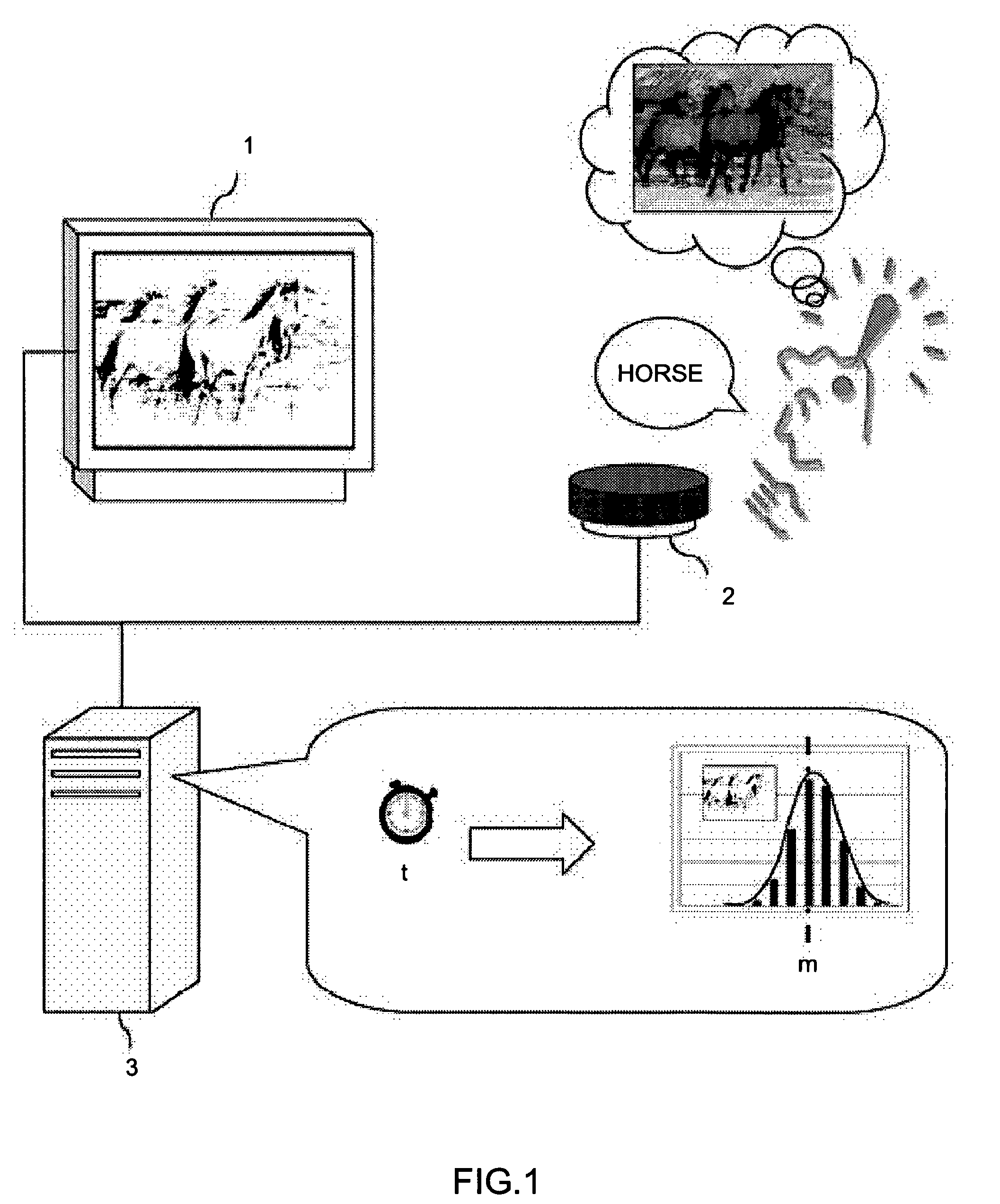 Cognitive capacity measurement device and cognitive capacity measurement method