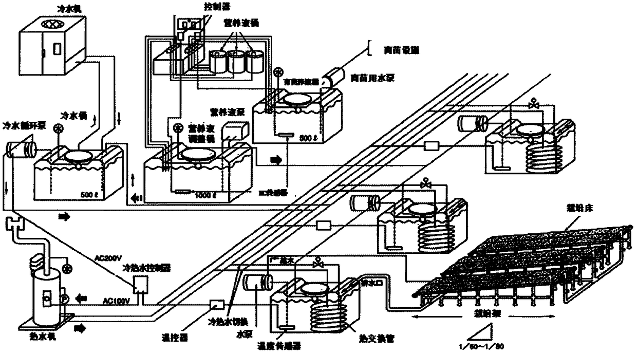 High-efficiency management technology for NFT cultivation nutrient solution of leaf vegetables