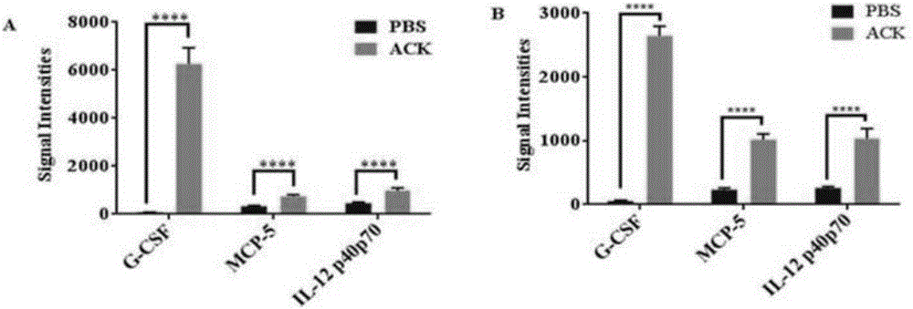 Application of protein of high-pathogenicity staphylococcus hyicus to subunit vaccine