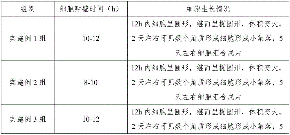 Culture medium for skin keratinocyte and culture method thereof