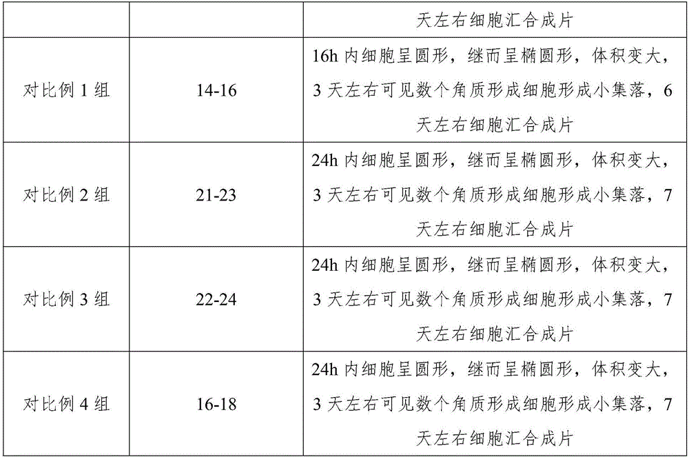 Culture medium for skin keratinocyte and culture method thereof