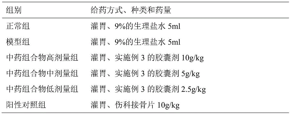 Pharmaceutical preparation for promoting vascular remodeling and fracture healing after bone fracture