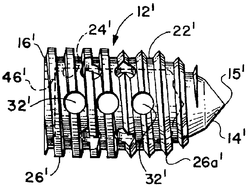 Threaded spinal implant with bone ingrowth openings