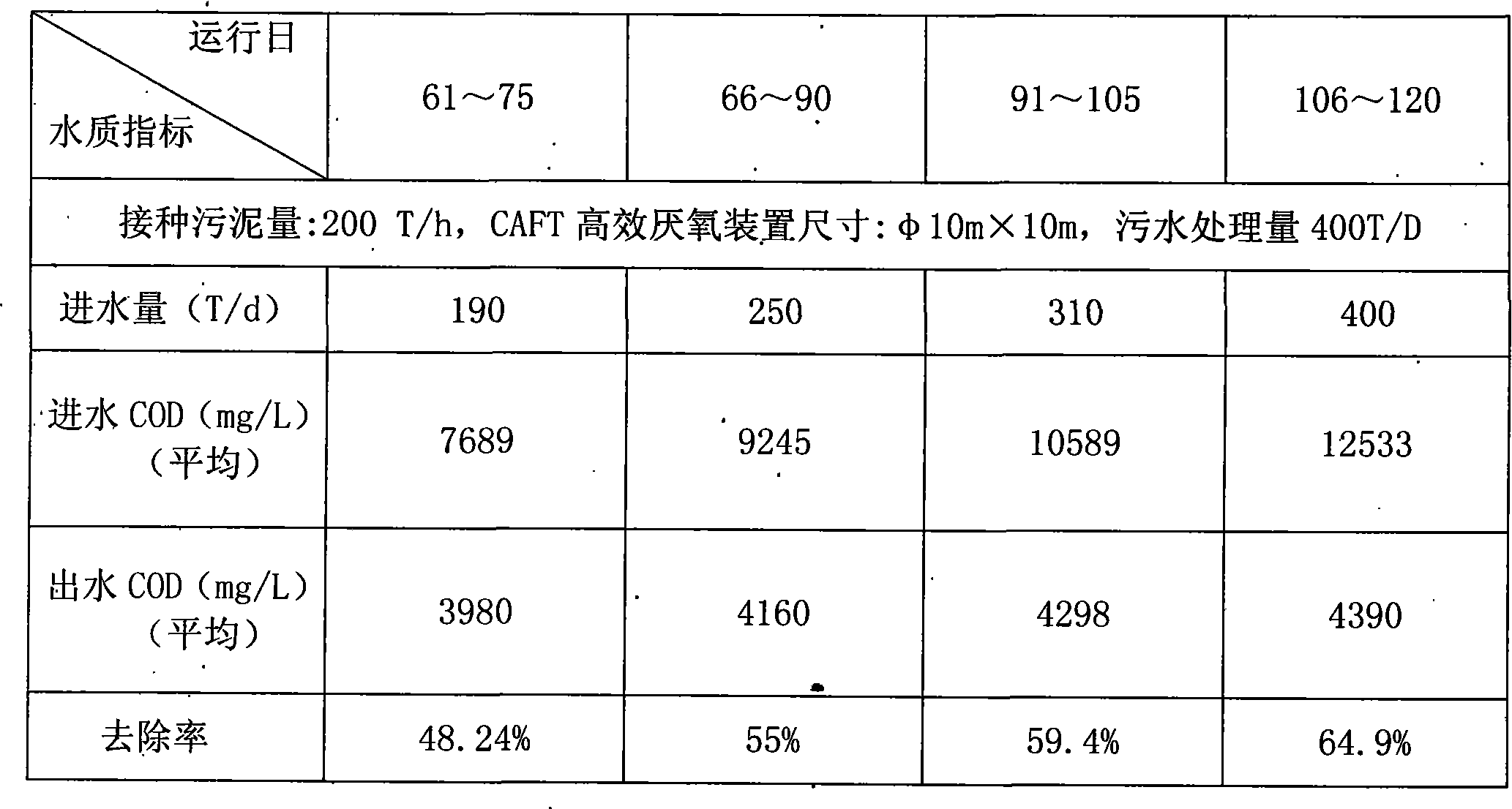 CAFT efficient anaerobe reactor for treating sewage