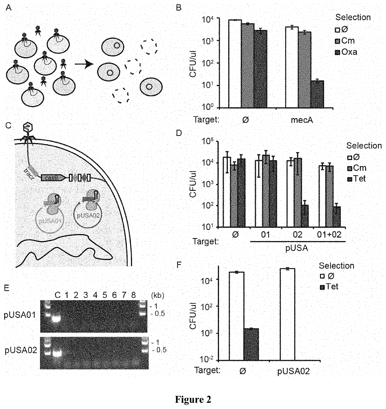 Sequence specific antimicrobials