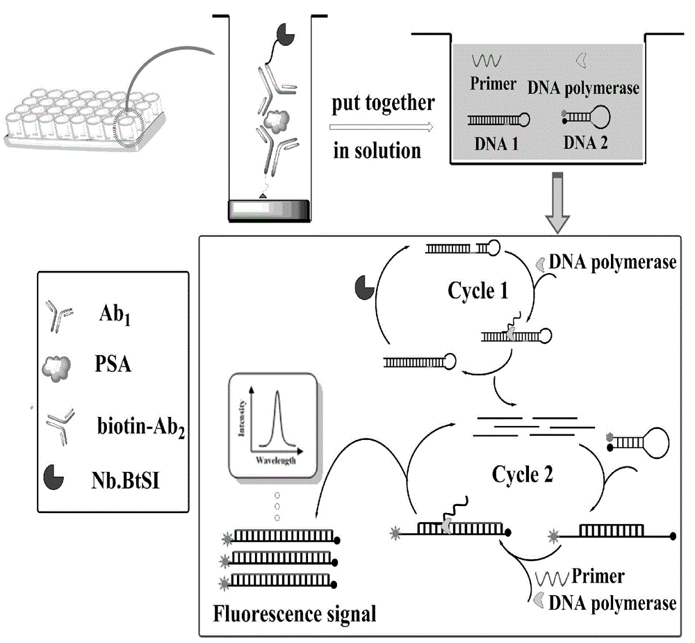 Novel prostate-specific antigen detection kit