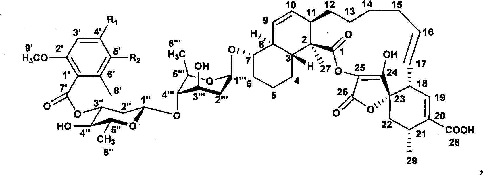 6-methy salicylic acid synthetase transformed by genetic engineering and combinatorial biosynthesis of spirocyclic acetoacetic acid lactone antiboitic