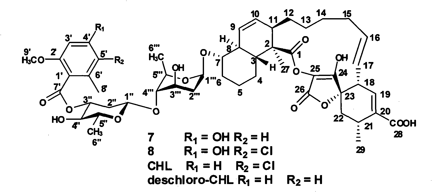 6-methy salicylic acid synthetase transformed by genetic engineering and combinatorial biosynthesis of spirocyclic acetoacetic acid lactone antiboitic