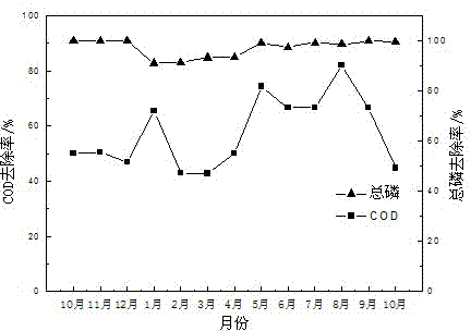 Constructed wetland for treating sewage with low carbon nitrogen ratio by utilizing ores