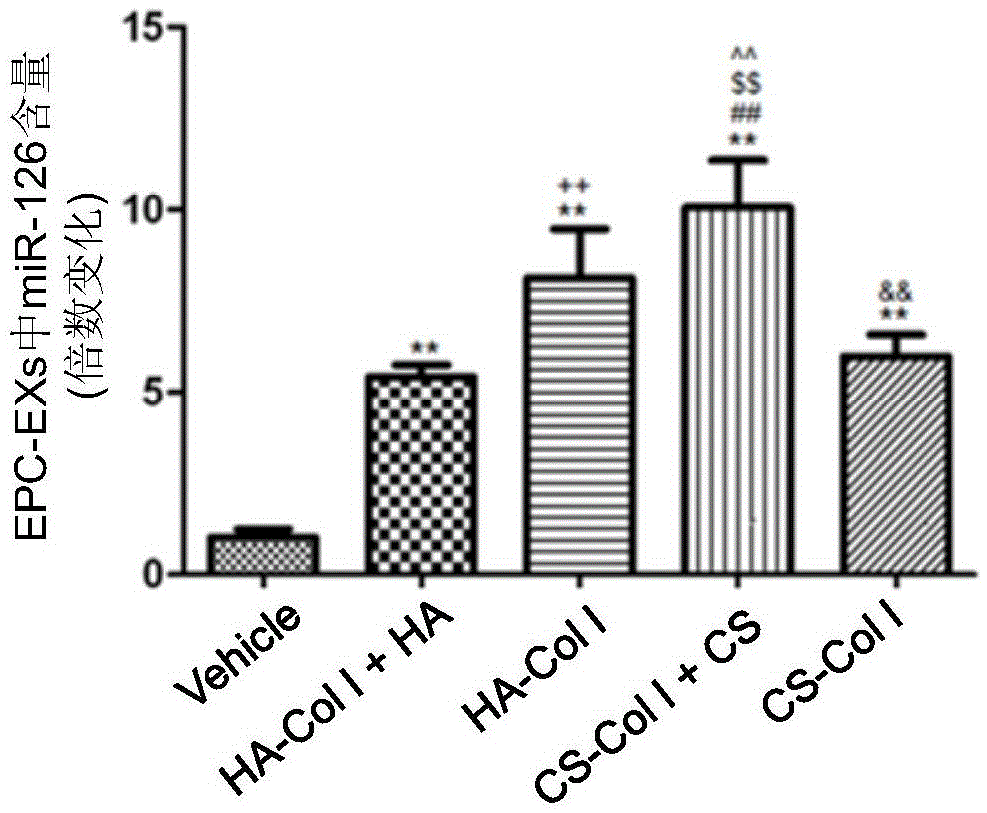 Biological material for improving release of endothelial progenitor cell exosomes (EPC-EXs) and promoting bone defect repair, and preparation method and application thereof