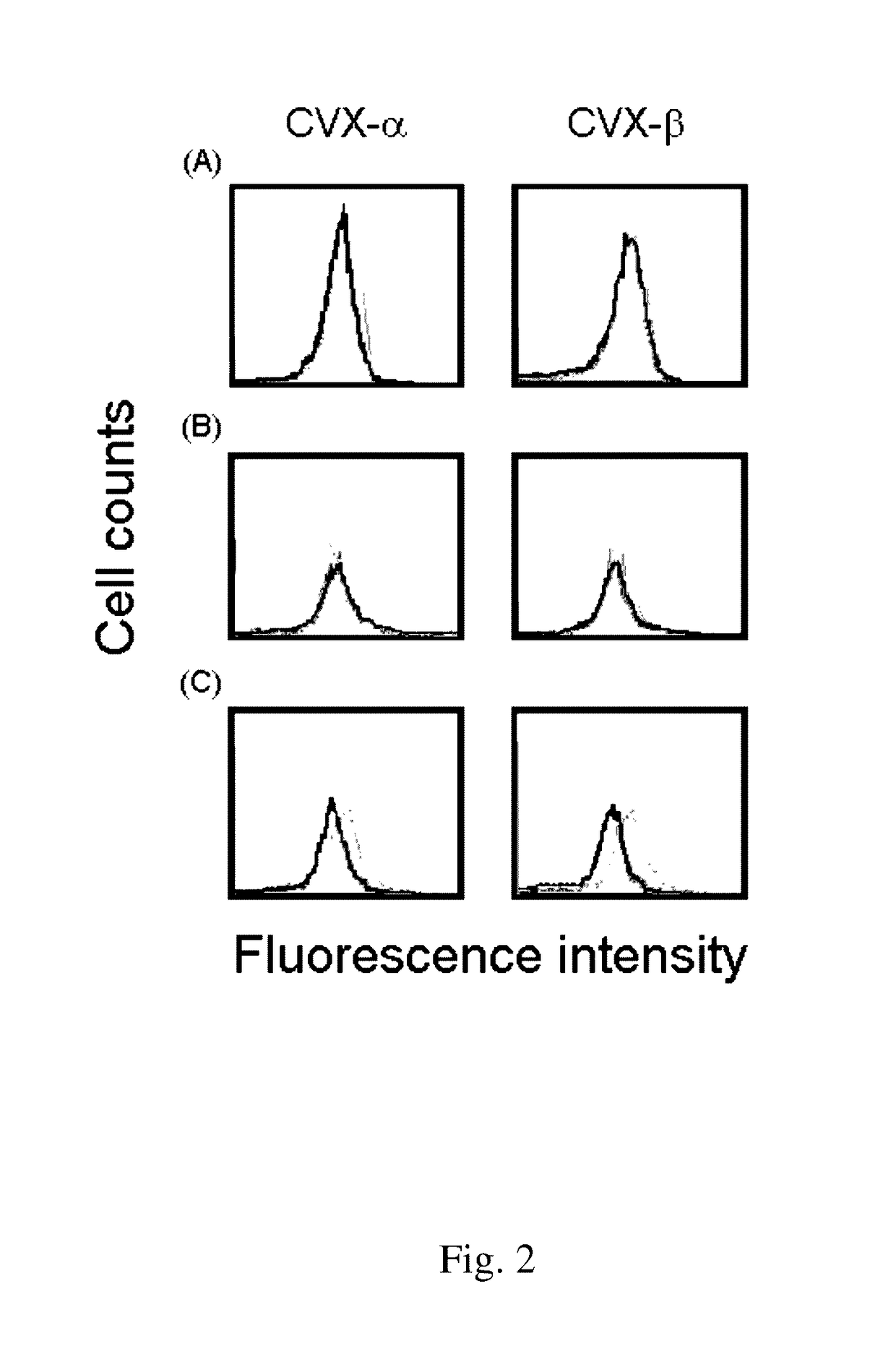 Peptide compounds for inhibition of platelet aggregation