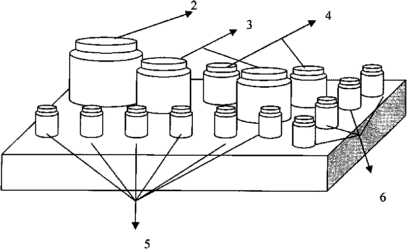 Various mycotoxin quantifying detection protein chip and kit thereof