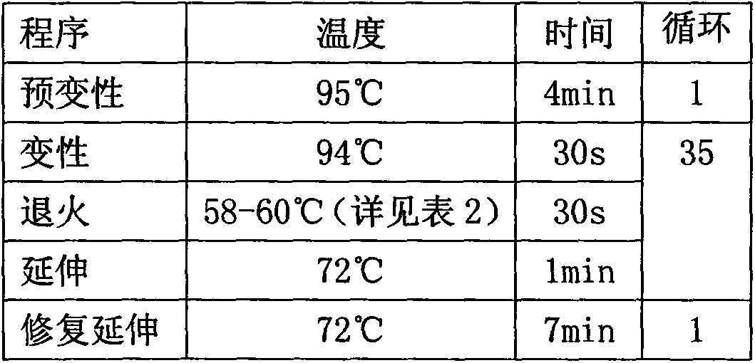 H7N9 avian influenza illness probability detection kit