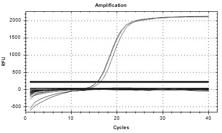 Method for quantitatively detecting quail-derived components based on ddPCR technology