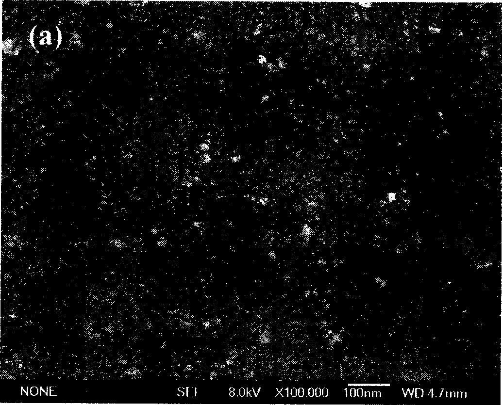 Orientational alignment carbon nano-tube and carbon coating cobalt nano-particle complex and preparation thereof