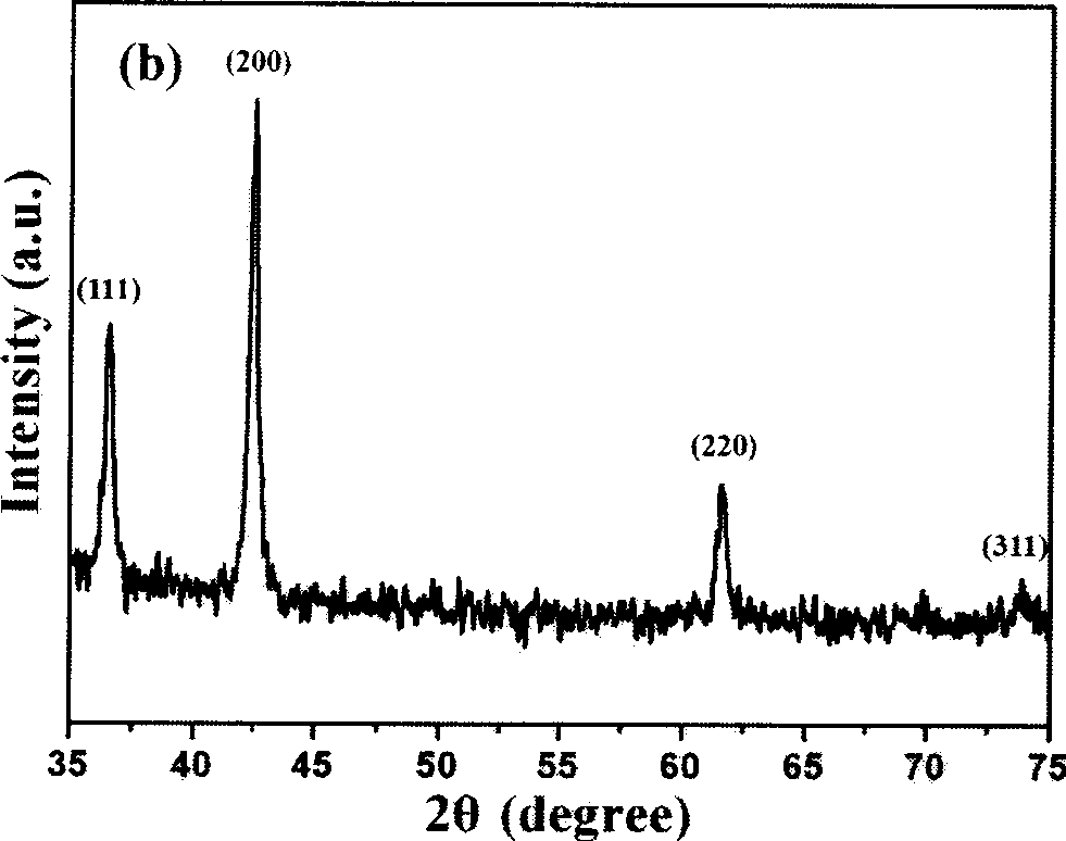 Orientational alignment carbon nano-tube and carbon coating cobalt nano-particle complex and preparation thereof