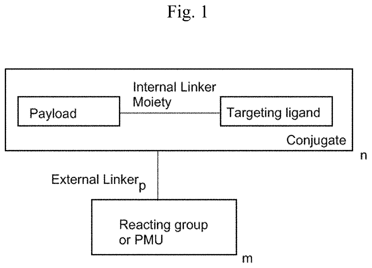 Targeted constructs and formulations thereof