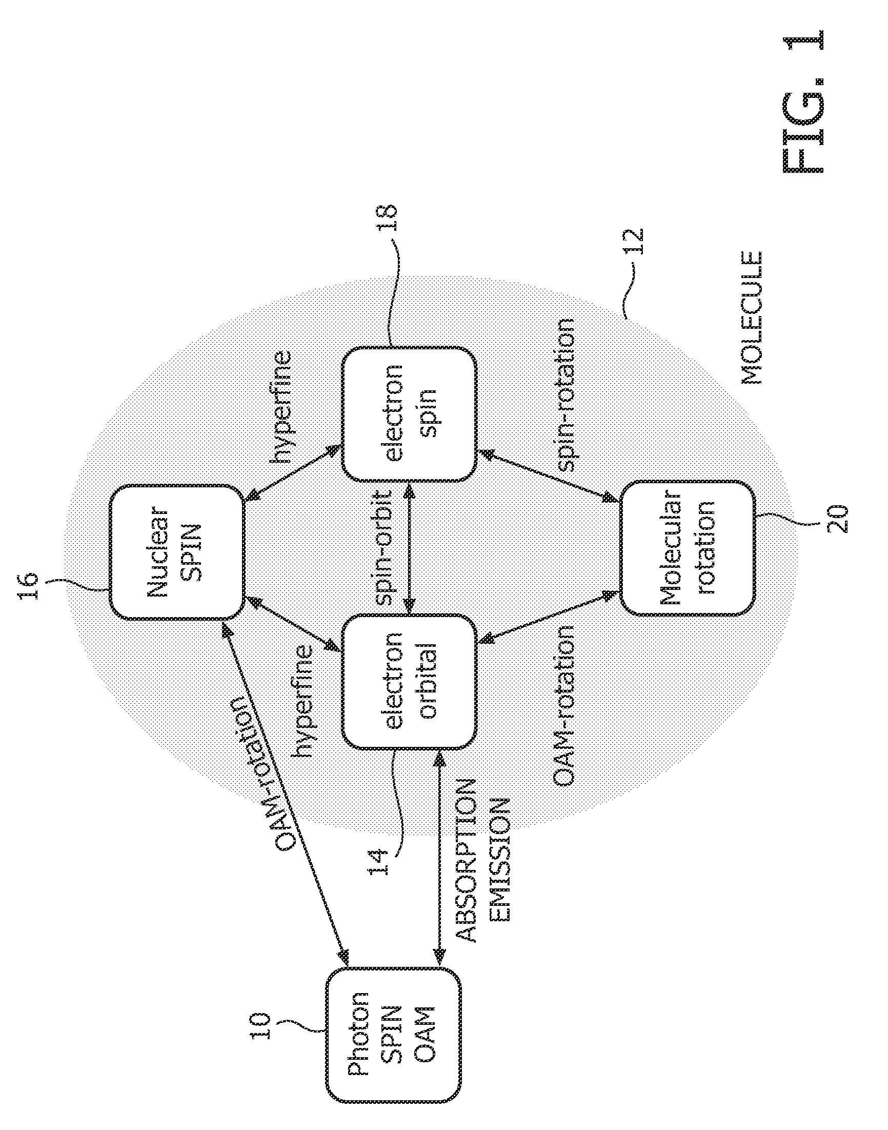 Magnetic resonance imaging using hyperpolarization of liquids or solids by light with orbital angular momentum