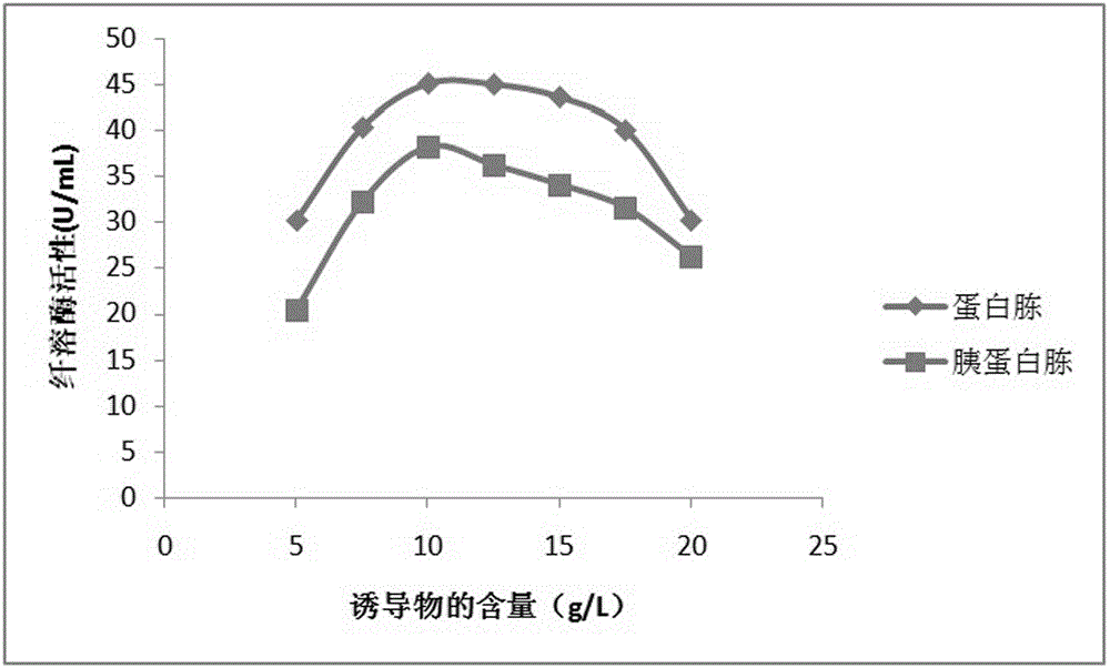 Solid medium for producing plasmin by using cordyceps sobolifera and plasmin production method using same