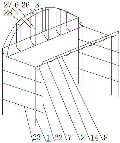 Arch pulling tree bridge cultivation method