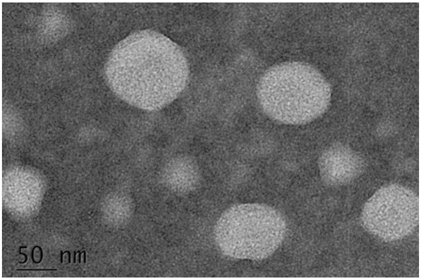 Surface modified lipidosome as well as preparation method and application thereof