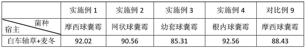 Arbuscular mycorrhizal fungal inoculant