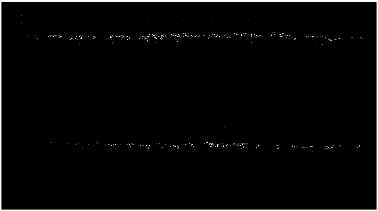 Primer composition for LAMP (loop-mediated isothermal amplification) rapid detection of pomegranate fusarium sulphureum and application of primer composition