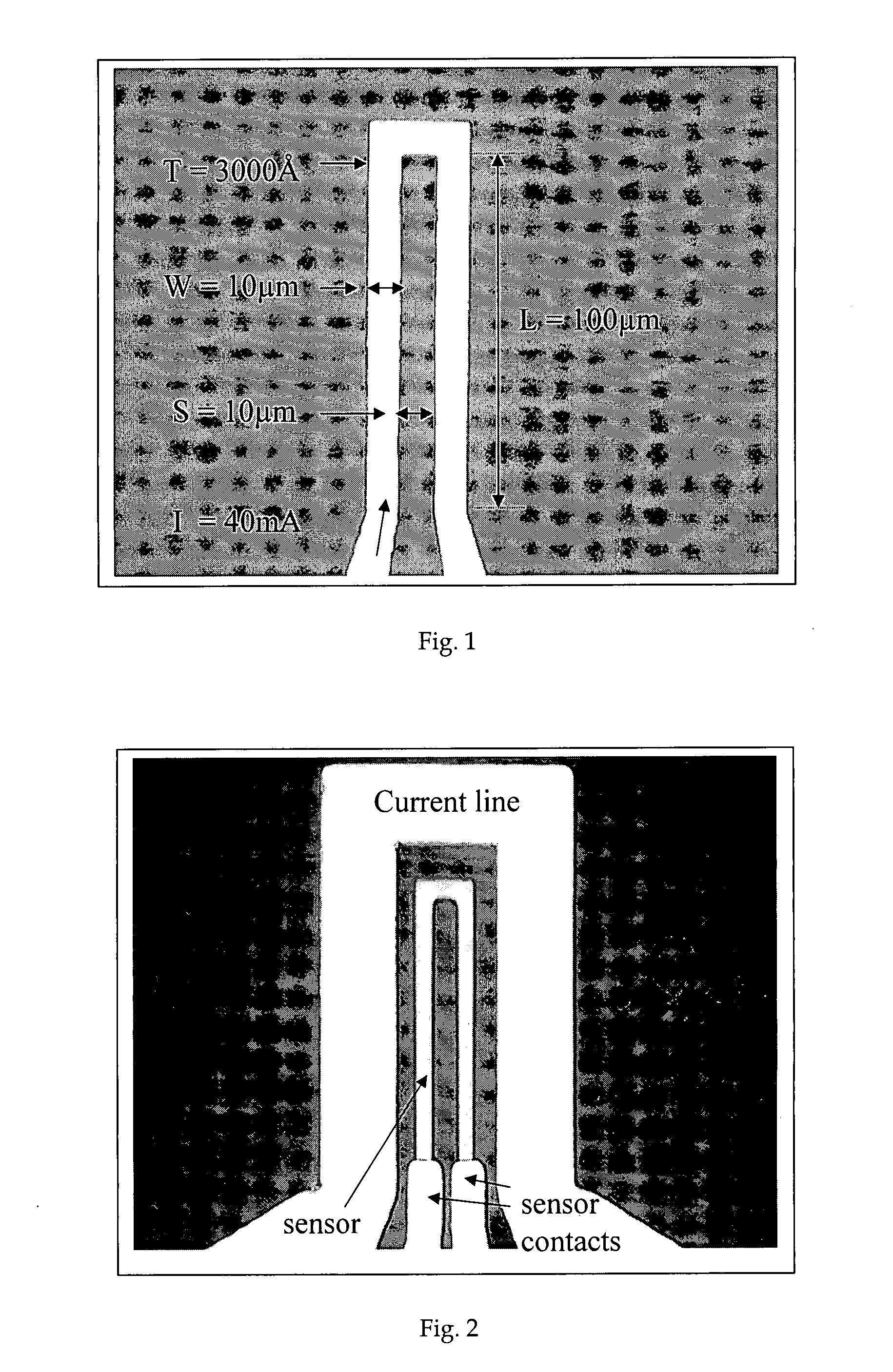 Bio-Electronic Device