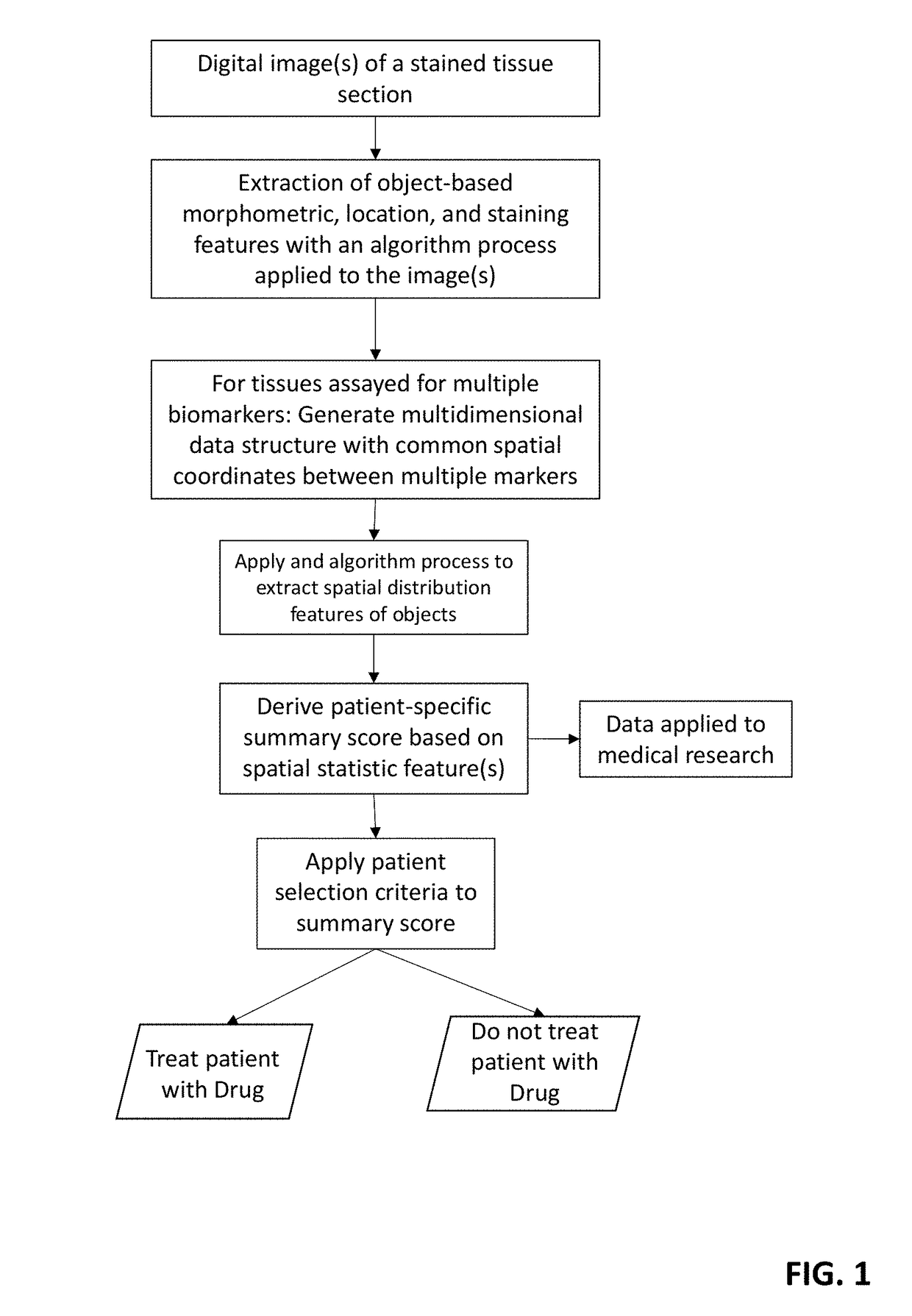 Method for scoring pathology images using spatial analysis of tissues