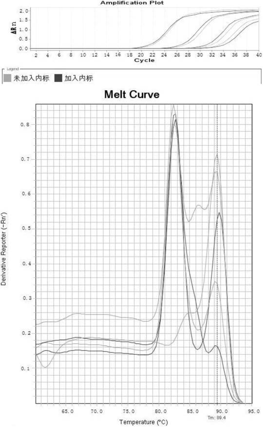 Method and kit for quickly detecting interior label of salmonella by adopting reverse transcription fluorescent quantitation