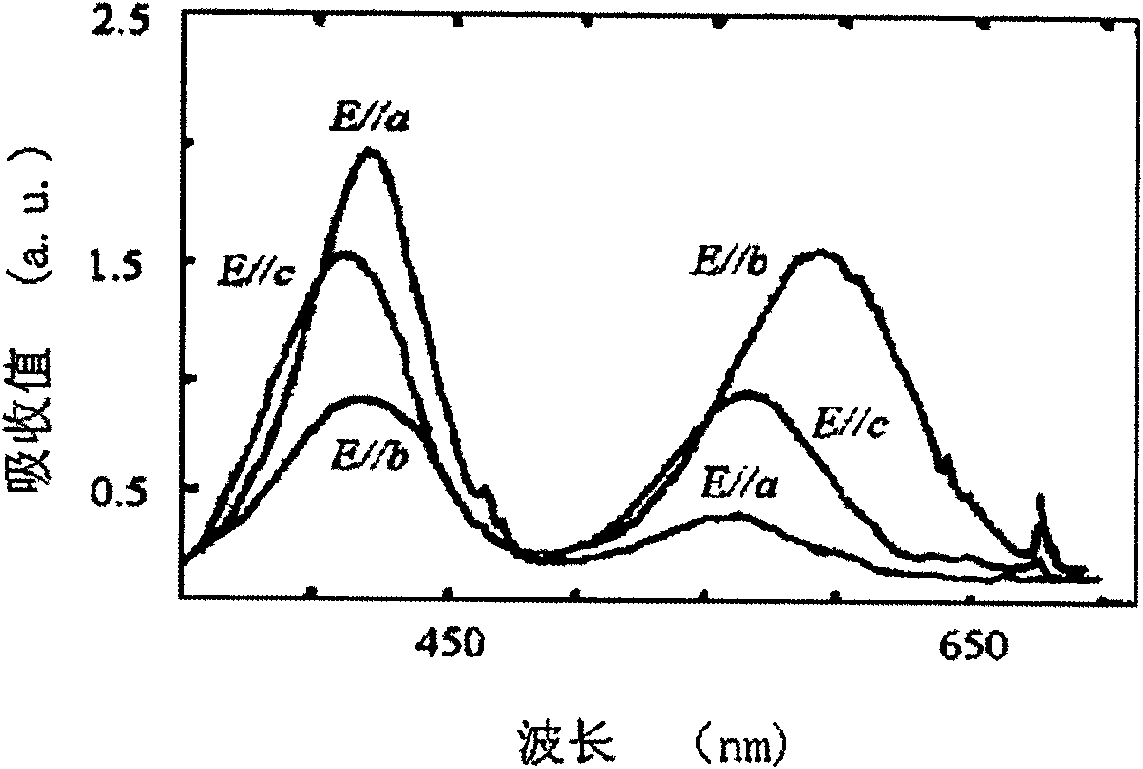 Absorption type polarizer for polarization in cavity