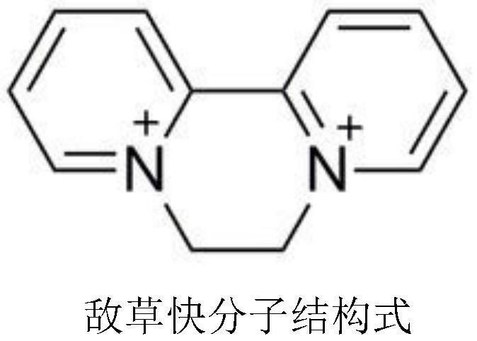 Preparation method and application of diquat molecularly imprinted polymer microspheres