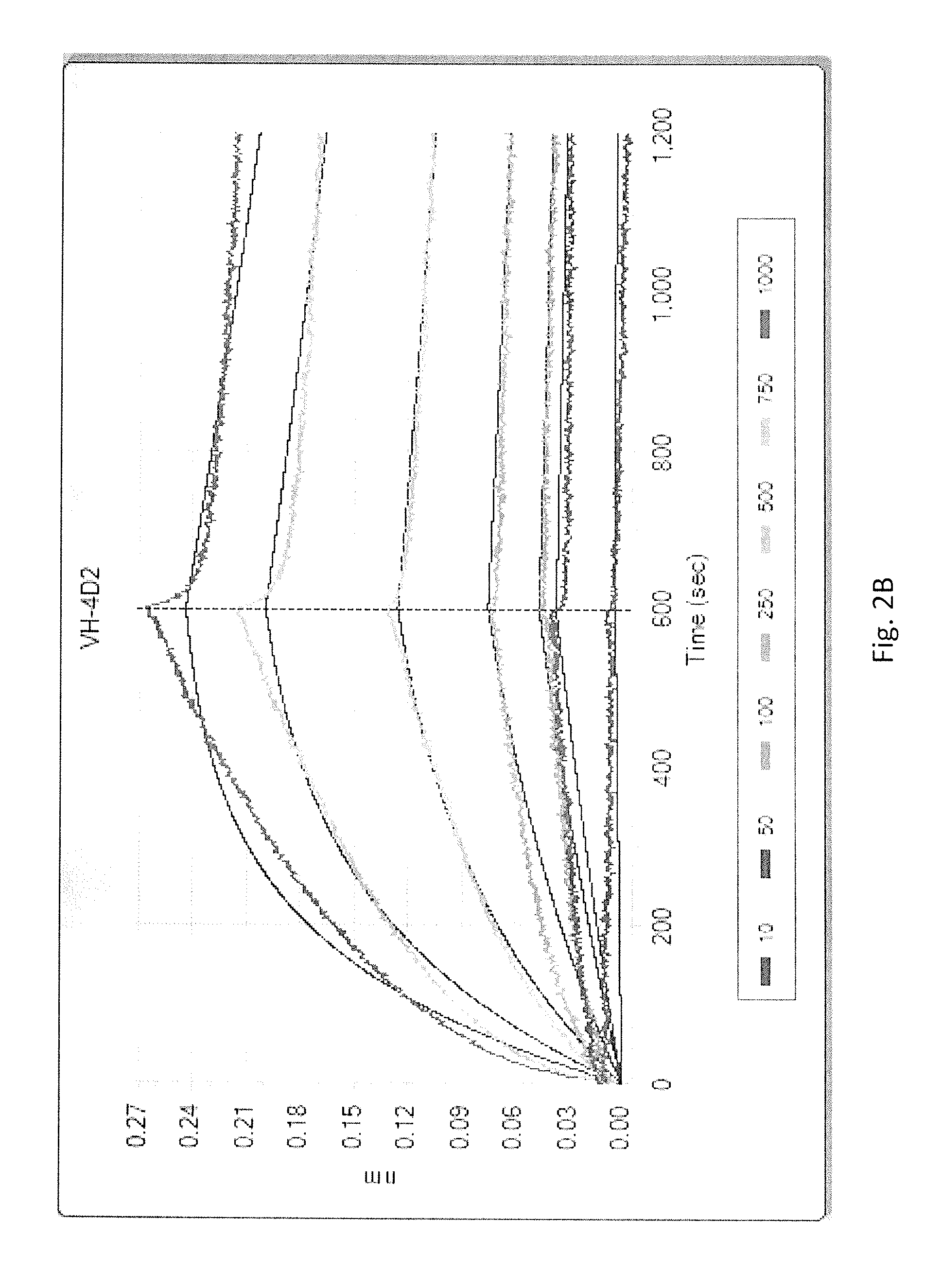 Antibodies that specifically bind to serum albumin without interfering with albumin's capability to interact with the fcrn