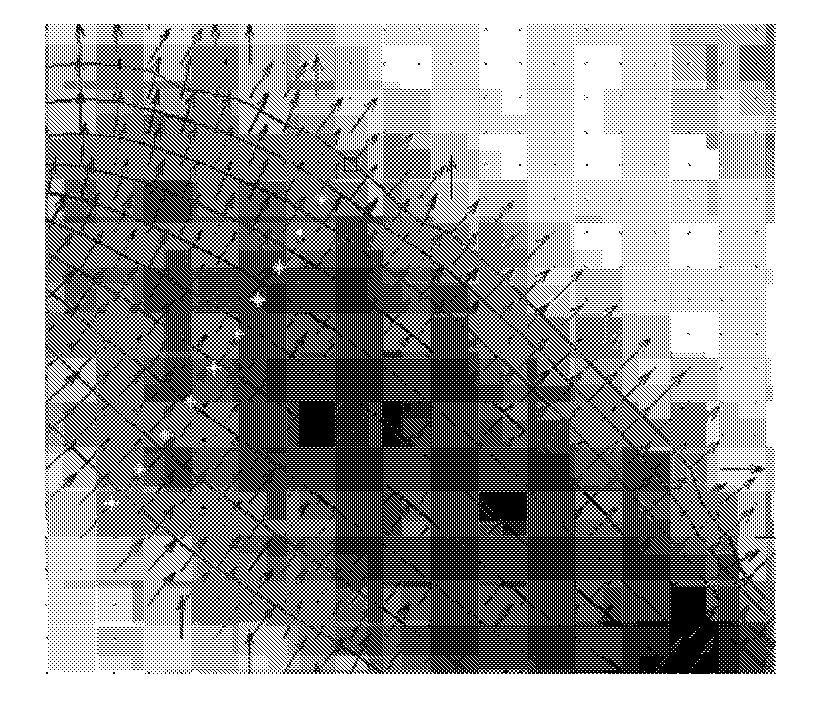 Centromere Detector and Method for Determining Radiation Exposure From Chromosome Abnormalities