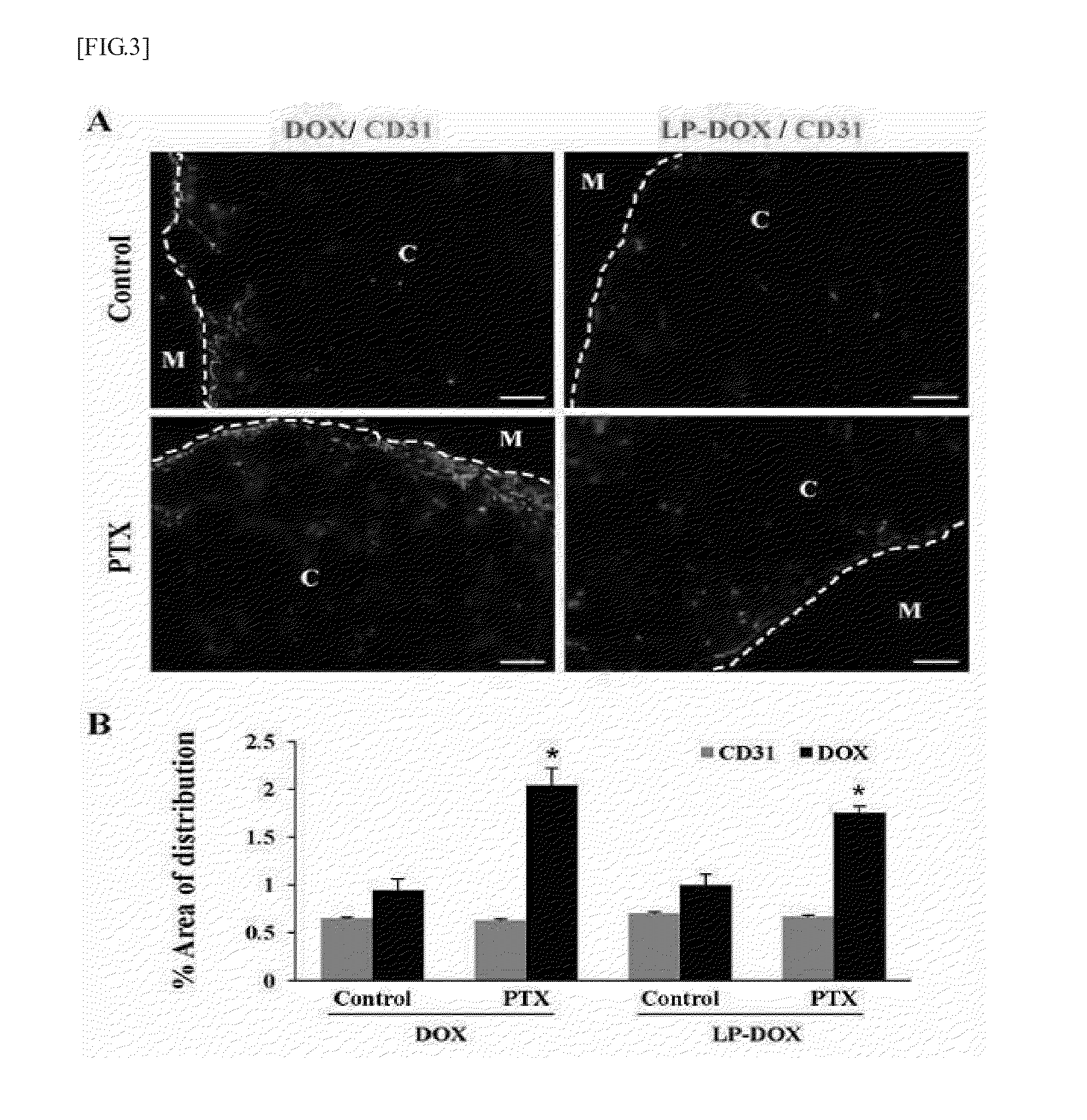 Anticancer adjuvant containing pentoxifylline