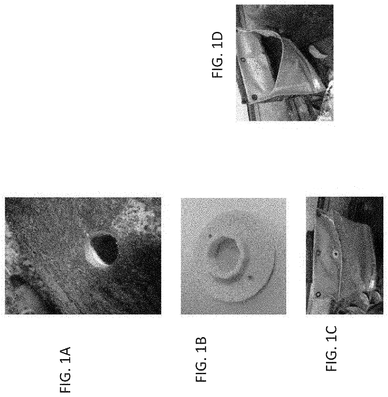 Methods of cultivating ectomycorrhizal fungi