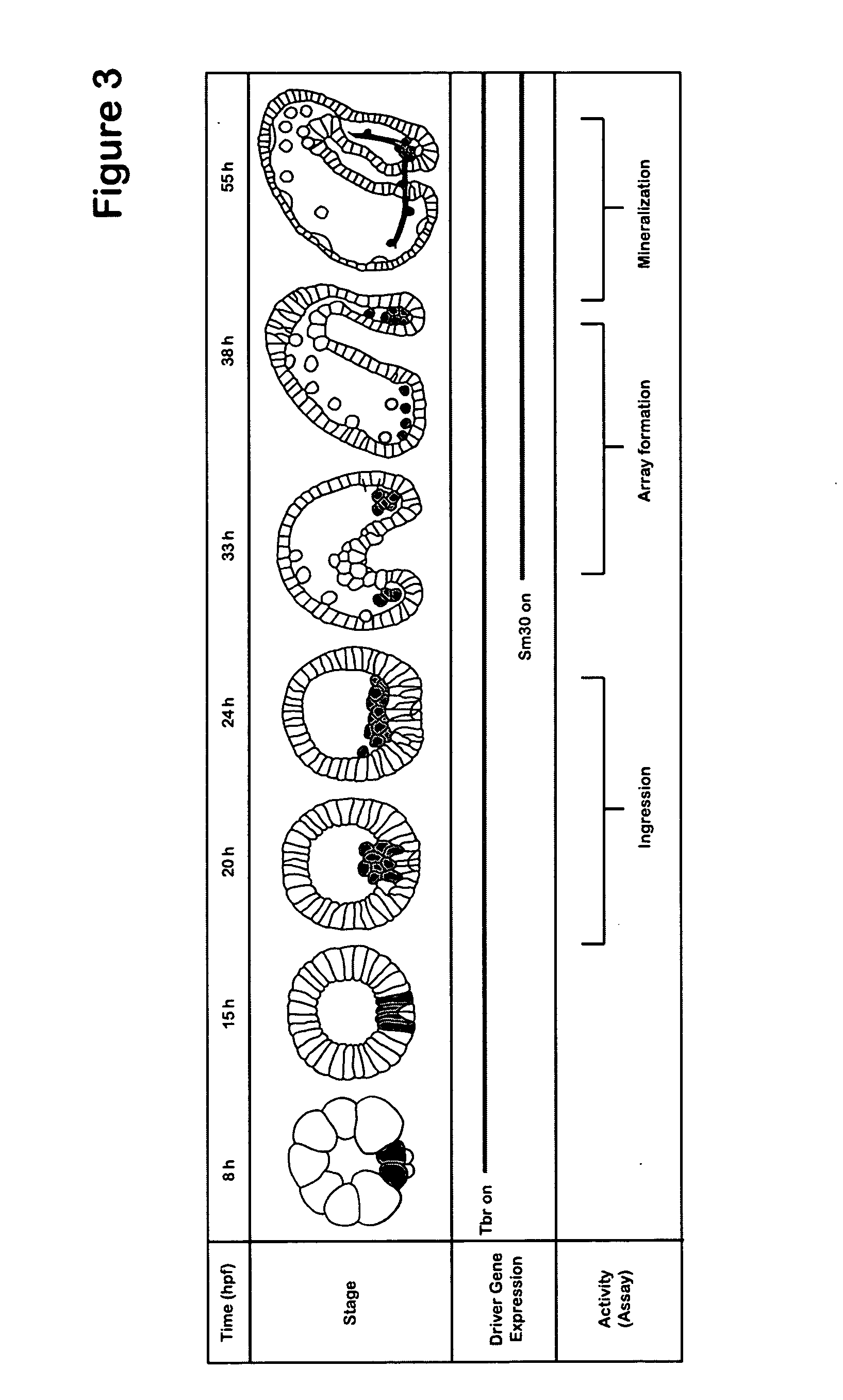 Gene blocking method