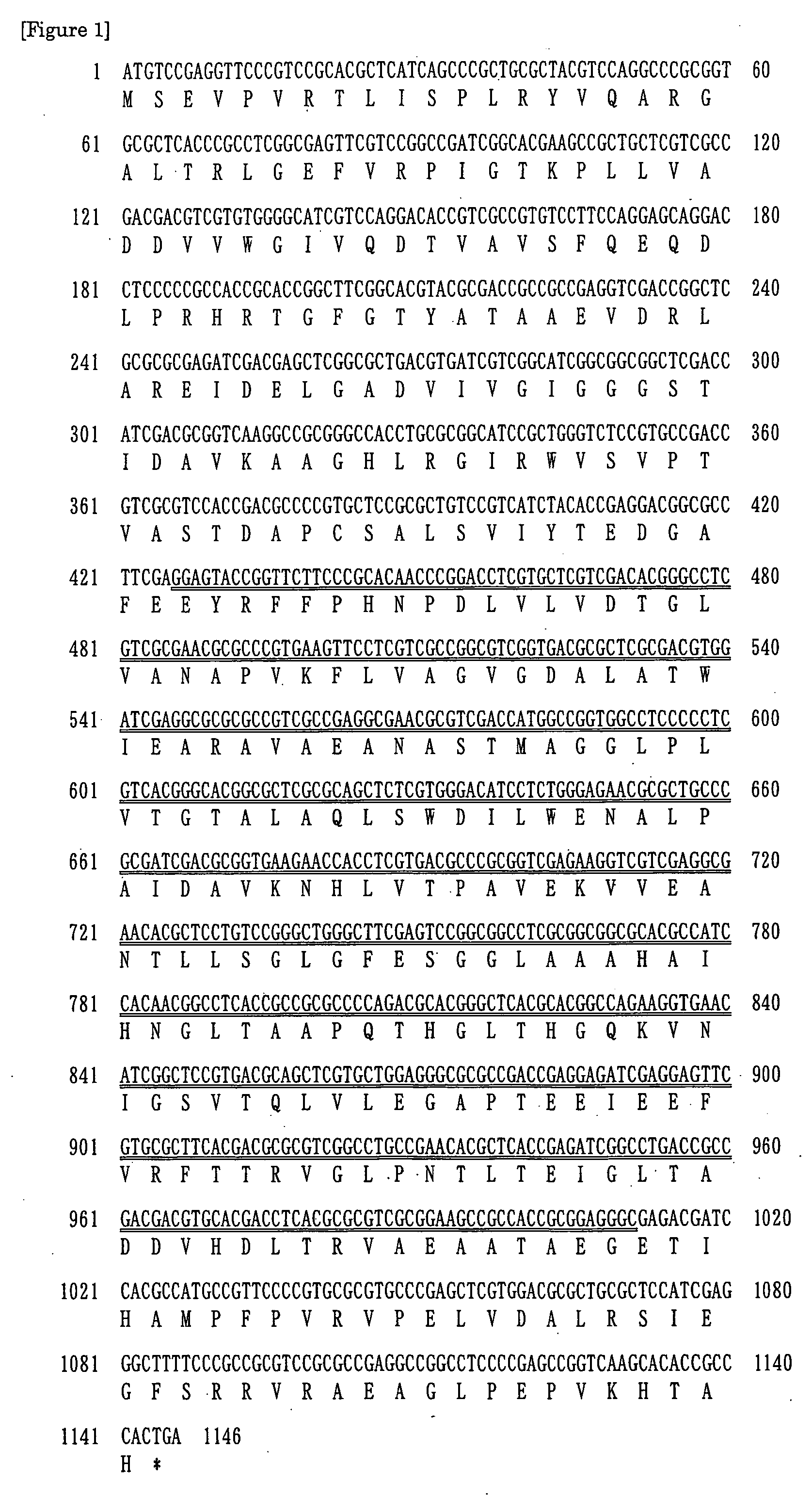 Novel Glycerol Dehydrogenase, Gene Therefor, and Method of Utilizing the Same