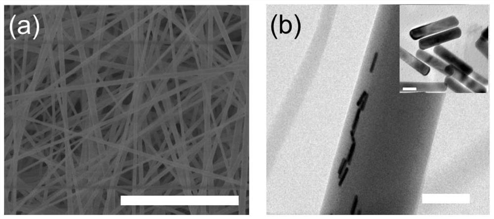 A kind of fiber material and its preparation method and application