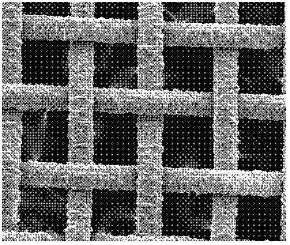 Micro/nano interface separation net as well as preparation method and application thereof