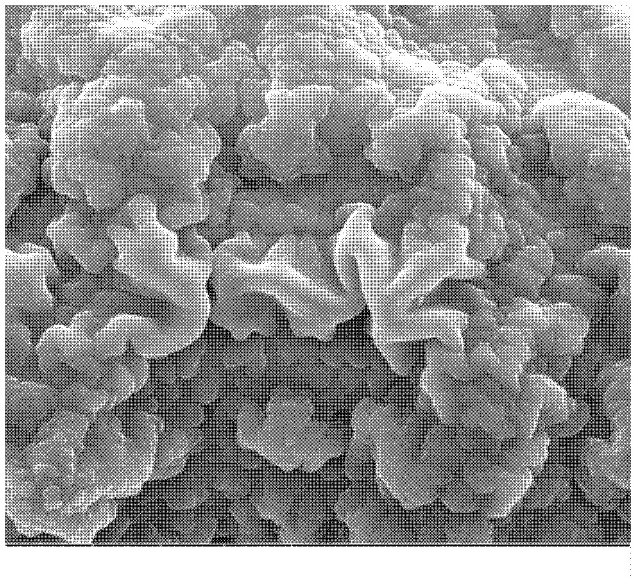 Micro/nano interface separation net as well as preparation method and application thereof