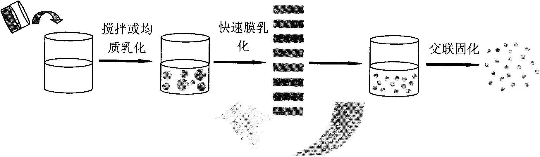 Chitosan nano-microspheres product and preparation method thereof