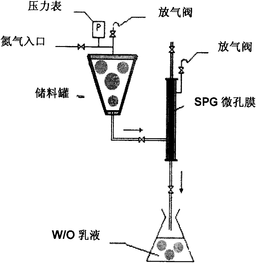 Chitosan nano-microspheres product and preparation method thereof