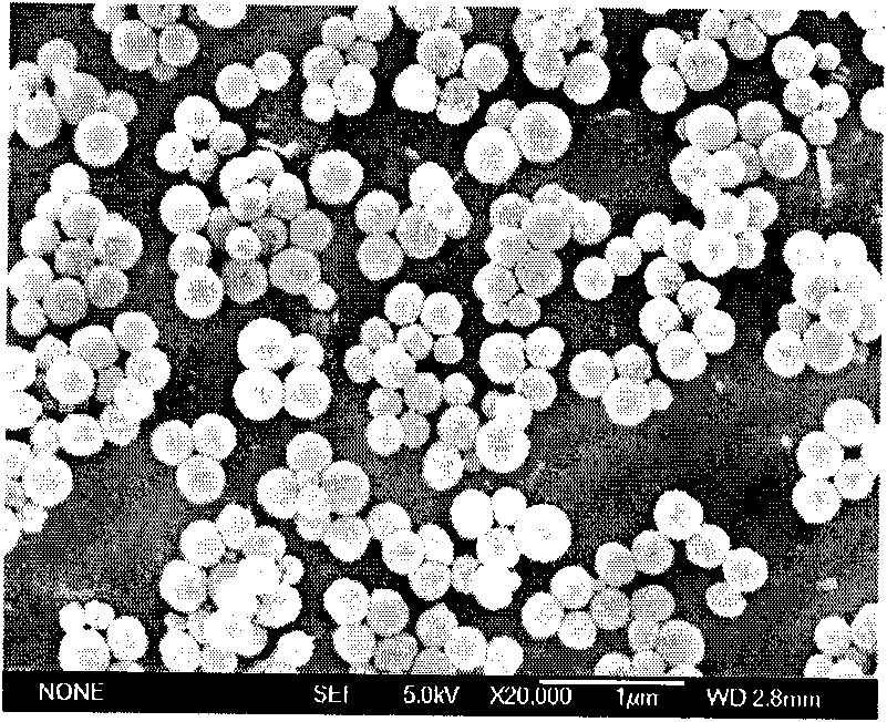 Chitosan nano-microspheres product and preparation method thereof