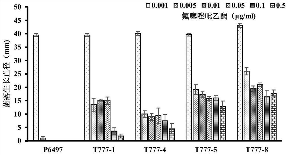 A Fluthiapiprofen Resistance Screening Marker for Genetic Transformation of Phytophthora sojae