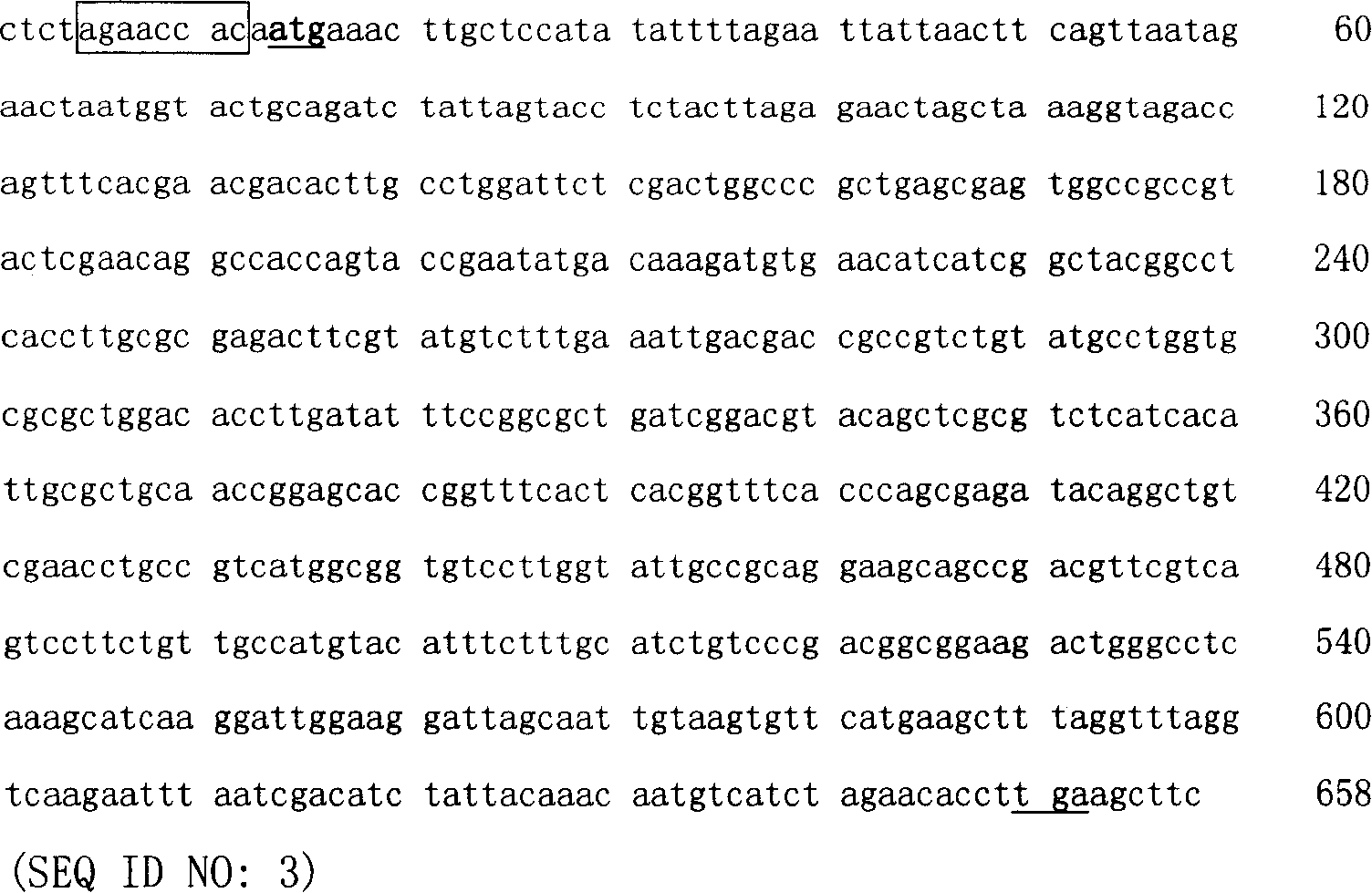 Transgened-tobacco for degrading organic mercury pollution