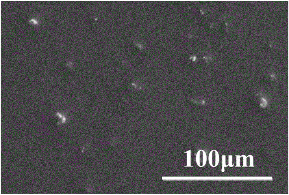 Covalent organic skeleton material-doped alcohol perm-selective membrane and preparation method thereof